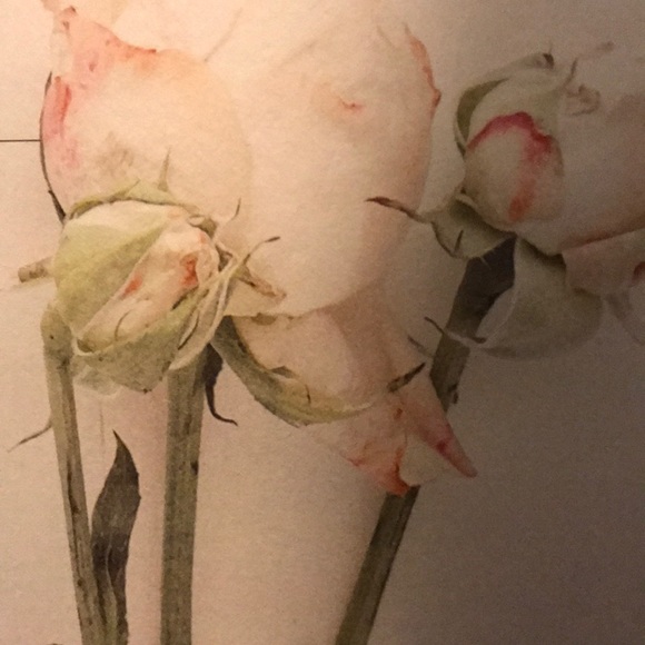 Meet your Posher, Katharine - Picture 1 of 1